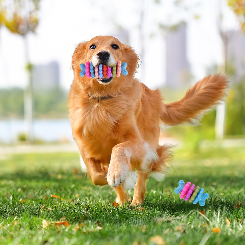 Šunų kaulų kramtymo žaislai Dantų valymas kramtomoji lazdelė Patvari guminė Interaktyvi šunų žaislas Netoksiškas nuo įkandimo šuniuko žaislas naminių šunų priedas