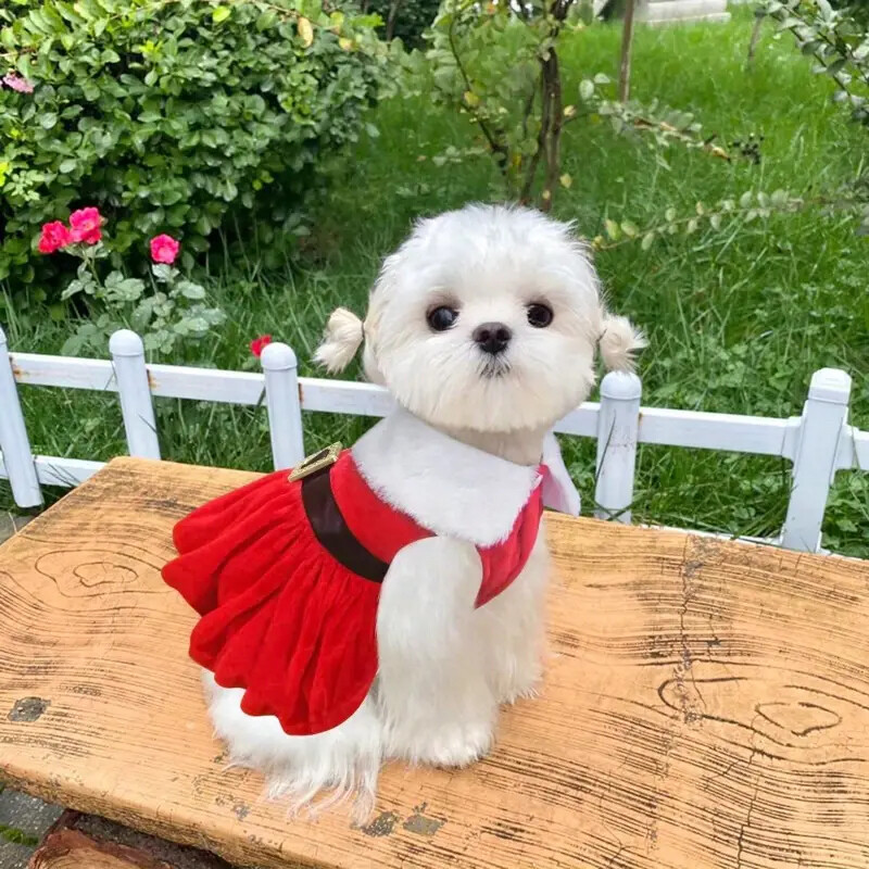 Šventinė raudono aksomo kalėdinė suknelė šuniui su diržu, jauki žieminė augintinio apranga mažoms ir vidutinėms veislėms