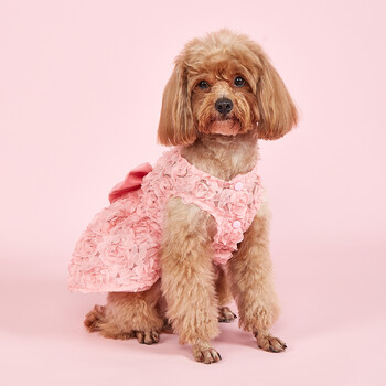 Φόρεμα Dog Princess Κεντημένο λουλούδι Pet Pink Bowknot Ρούχα Πριγκίπισσας Κουτάβι Pet Ανοιξιάτικα καλοκαιρινά φορέματα