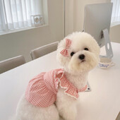 Šunų drabužiai Princesės rožinė languota suknelė, augintinė Meškiukas Pomeranijos meškiukas Mažas katės sijonas