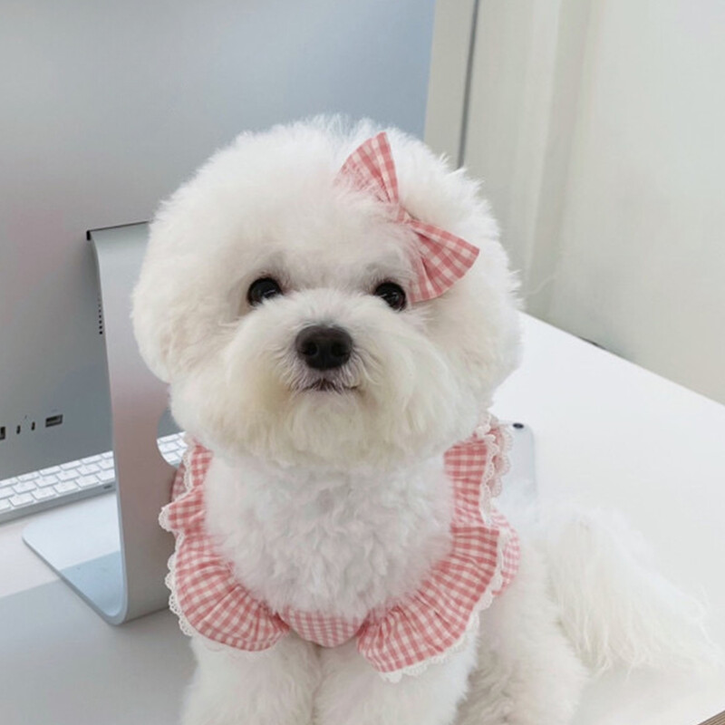 Šunų drabužiai Princesės rožinė languota suknelė, augintinė Meškiukas Pomeranijos meškiukas Mažas katės sijonas