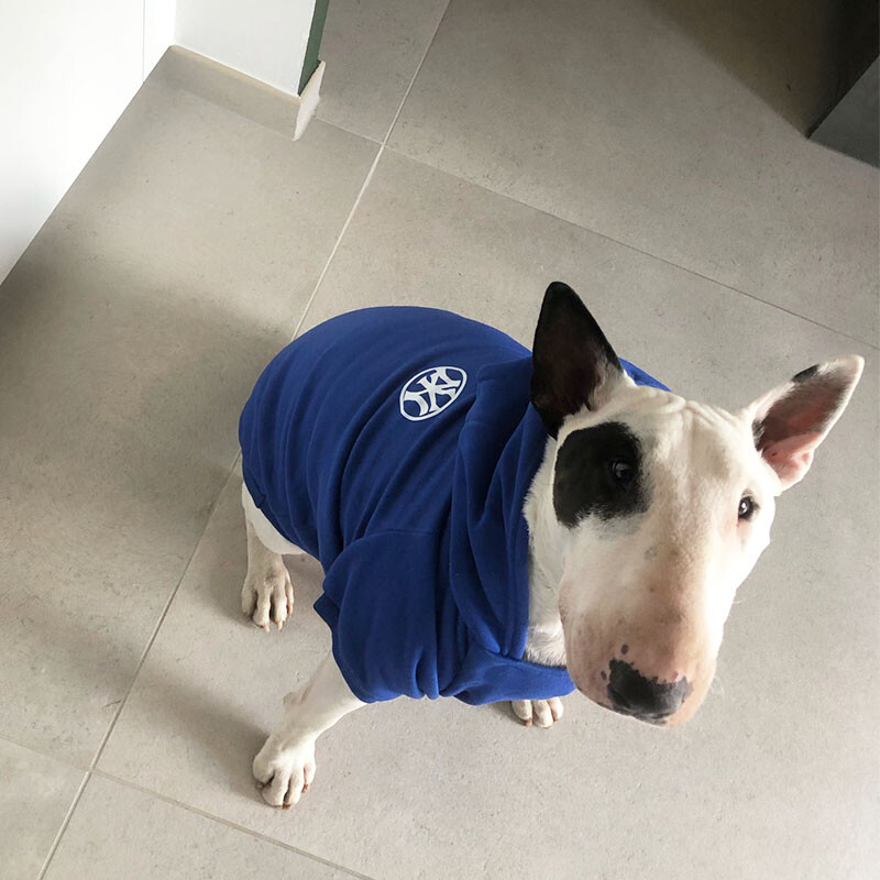 Megztiniai šunims Rudens Žiemos Dvikojų šuniukų rūbai Vienspalviai Kišeniniai Katės megztiniai Šuniui Minkšti Patogūs Megztiniai naminiams gyvūnėliams