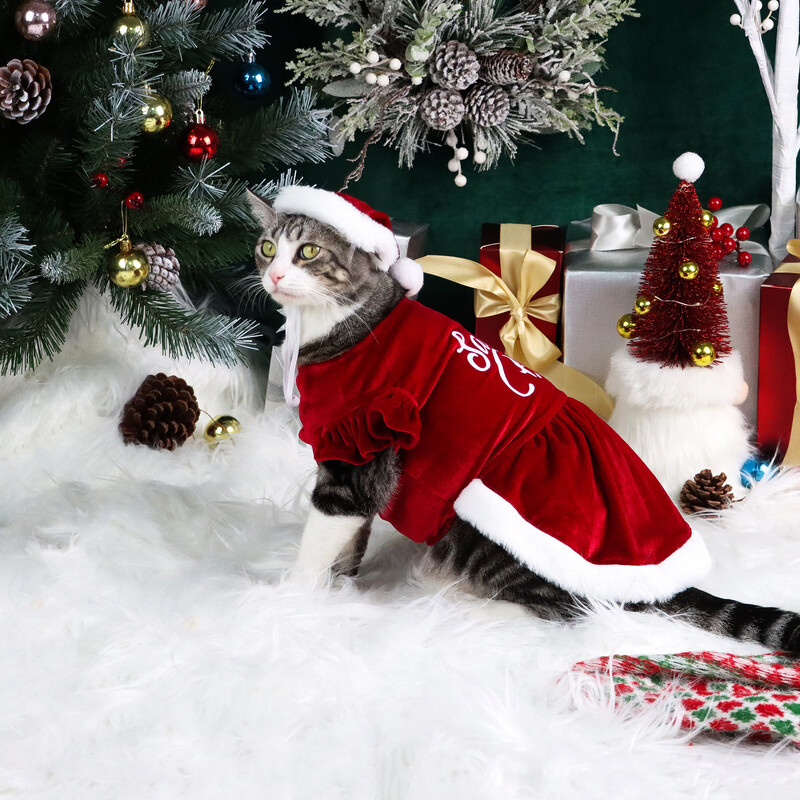 Set de 2 rochii de Crăciun pentru câini Rochie pentru cățeluș cu litere pentru bebeluș Moș Crăciun Haine de pluș pentru cățeluș Petrecere de Crăciun pentru câini Haine calde pentru animale de companie