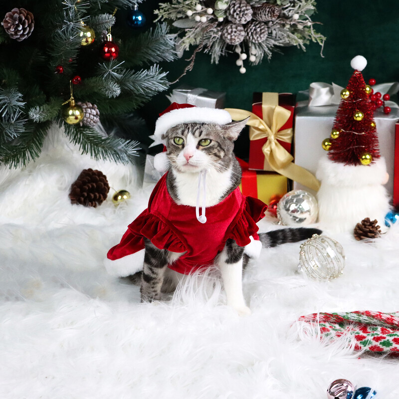 Set de 2 rochii de Crăciun pentru câini Rochie pentru cățeluș cu litere pentru bebeluș Moș Crăciun Haine de pluș pentru cățeluș Petrecere de Crăciun pentru câini Haine calde pentru animale de companie