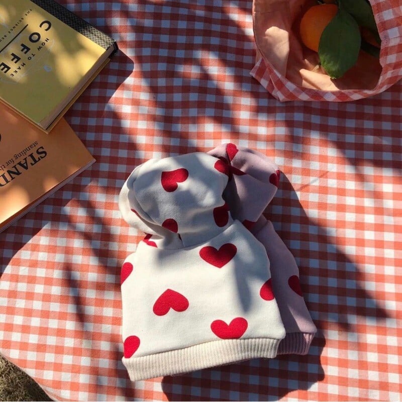 Îmbrăcăminte pentru animale de companie de toamnă și iarnă, drăguț, drăguț, cu imprimeu, pulover din lână, hanorac, ursuleț de pluș, haine pentru pisici de luptă, haine pentru cățeluși