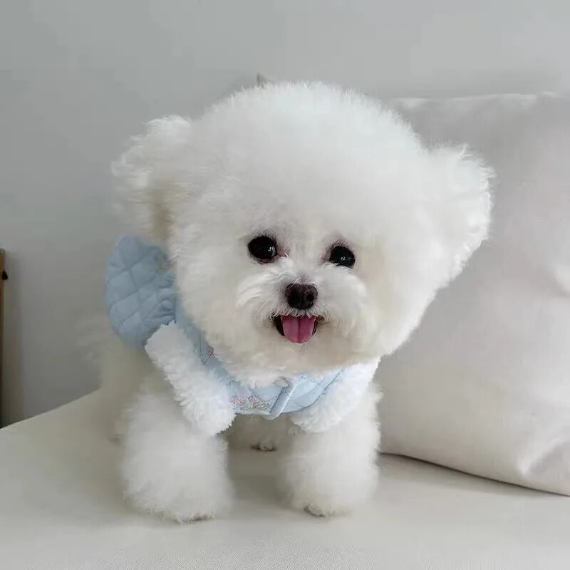 Deimantinis burbulinis moliūgų sijonas rudeniui ir žiemai su pliušiniu ir medvilniniu segtuku su traukimo sagtimi liemenė Meškiukas šunų katė sustorėjusi