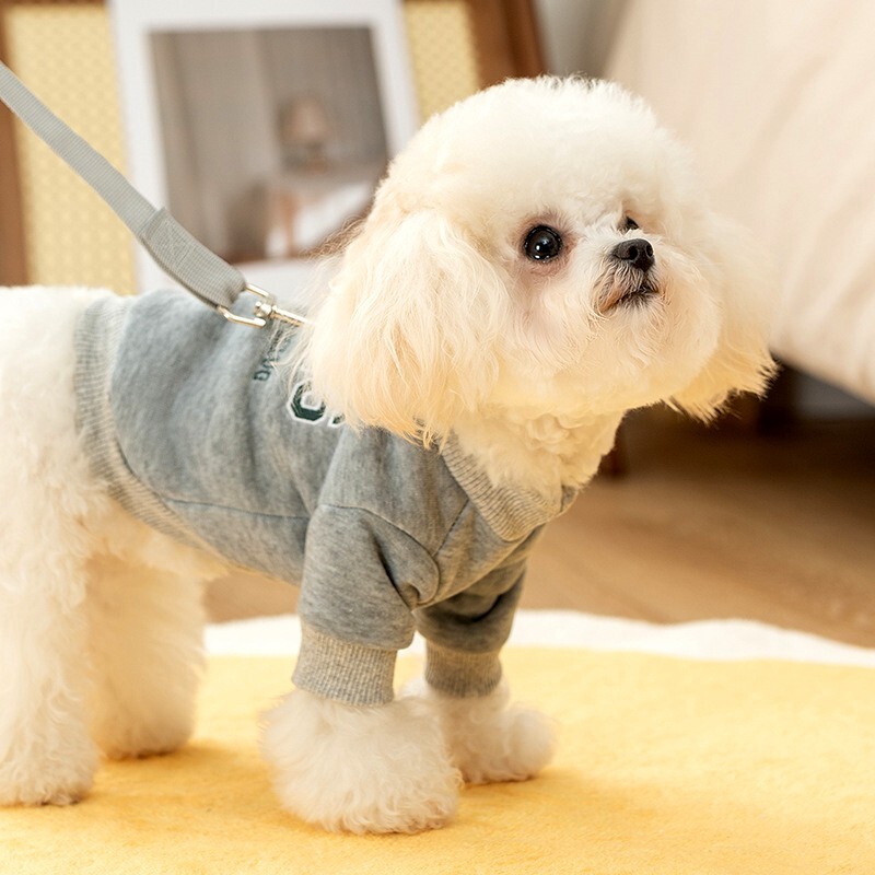 Žieminiai šunų drabužiai naminiams laiškams šunų gobtuvai šuniukų megztinis Šiltas šuns paltas Katės drabužiai Čihuahua prancūzų buldogas 2024 m. šunų megztinis