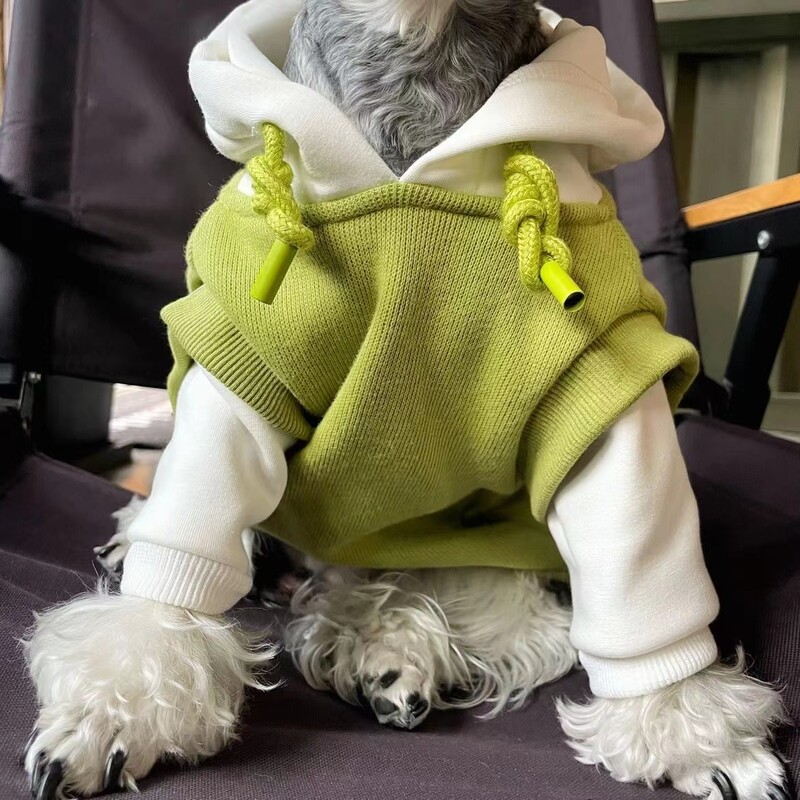 Žieminiai šunų rūbai Madingi megztiniai su gobtuvu minkšti drabužiai mažiems ir vidutiniams šunims Buldogas šuniukas Čihuahua augintinis