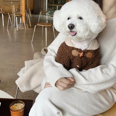 Zimné zahustené oblečenie pre psov, plyšové bundy, teplá mikina s kapucňou, vesty s bišonmi, košeľa s otvorenými gombíkmi, malý pes, ležérny bavlnený kabát pre šteniatka