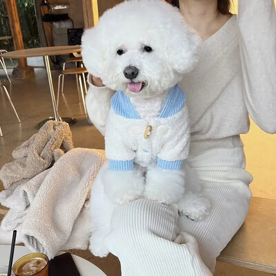 Zimné zahustené oblečenie pre psov, plyšové bundy, teplá mikina s kapucňou, vesty s bišonmi, košeľa s otvorenými gombíkmi, malý pes, ležérny bavlnený kabát pre šteniatka