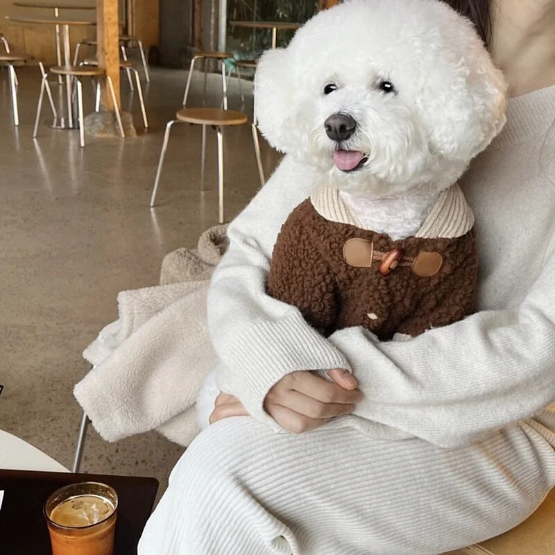 Zimné zahustené oblečenie pre psov, plyšové bundy, teplá mikina s kapucňou, vesty s bišonmi, košeľa s otvorenými gombíkmi, malý pes, ležérny bavlnený kabát pre šteniatka
