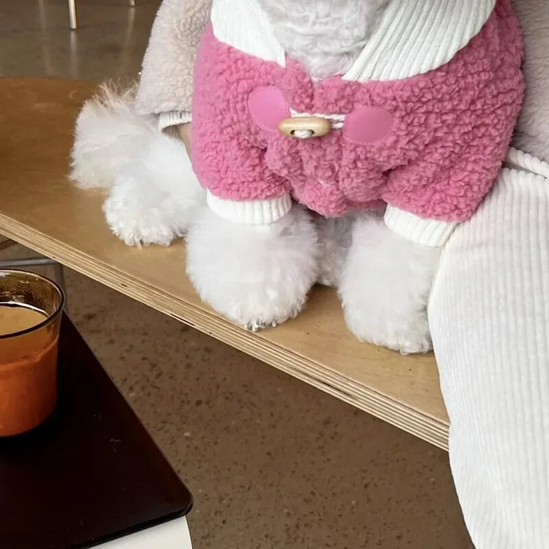 Zimné zahustené oblečenie pre psov, plyšové bundy, teplá mikina s kapucňou, vesty s bišonmi, košeľa s otvorenými gombíkmi, malý pes, ležérny bavlnený kabát pre šteniatka