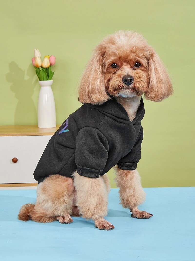 Naminių gyvūnėlių drabužiai šunų kačių megztiniai su aksominiais šiltais ir patogiais drabužiais su F šviesą atspindinčiomis raidėmis, madinga ir aukščiausios klasės