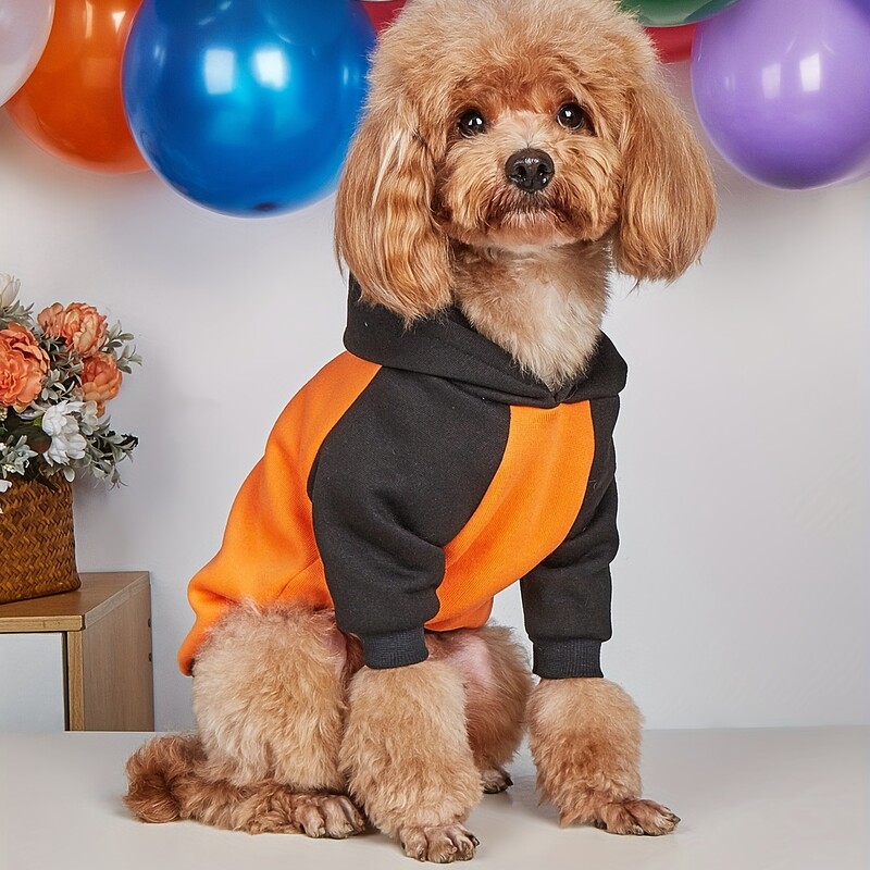Mājdzīvnieku drēbes suņu kaķu sporta krekls ar kapuci ar samta siltu un ērtu melnu un oranžu raibuma apģērbu ar apdrukām pelēks vienkāršs