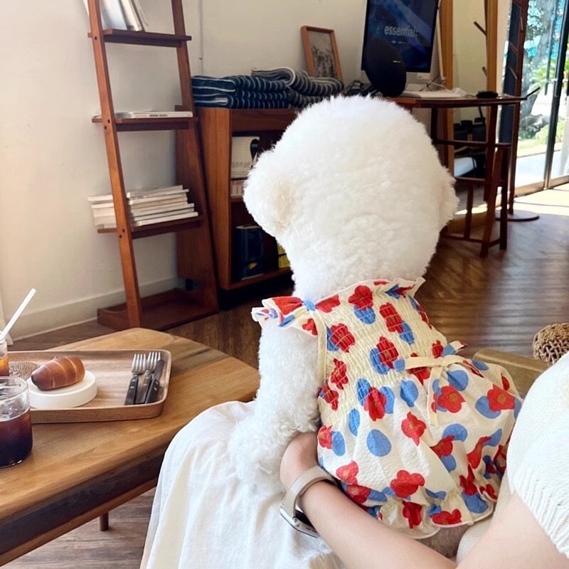 Rochie pentru câini Haine florale de vară pentru câini Rochii de prințesă pentru câini drăguț pisică Chihuahua Bulldog francez Bichon Costum pentru câine pentru fete Fusta pentru animale de companie