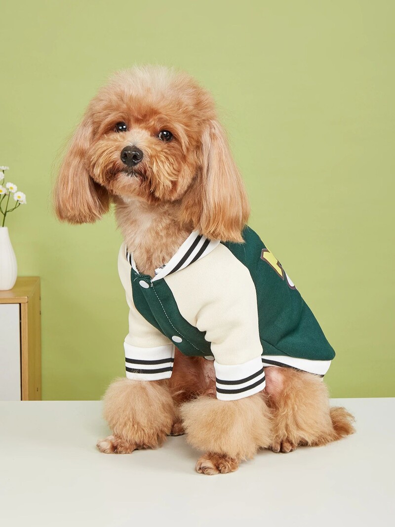 Kisállat ruhák kutya macska kabát meleg és kényelmes ruhák barátságos mozdulatokkal nyomtatott új