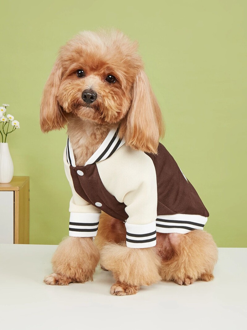 Mājdzīvnieku drēbes suņu kaķu jaka siltas un ērtas drēbes ar polārlāča velo apdruku jauns