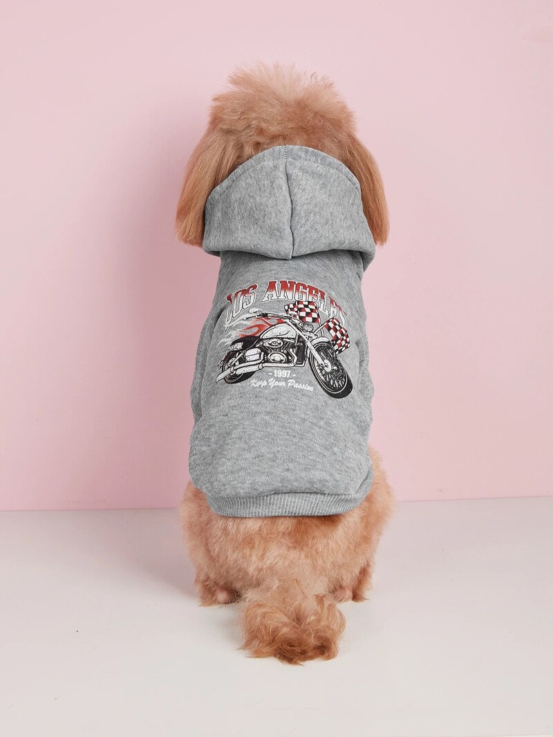 Mājdzīvnieku drēbes, suņi, kaķi, sporta krekli, silti un ērti ar samtu, apdrukātas drēbes, vienkāršas un dāsnas