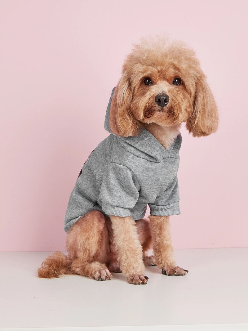 Mājdzīvnieku drēbes, suņi, kaķi, sporta krekli, silti un ērti ar samtu, apdrukātas drēbes, vienkāršas un dāsnas