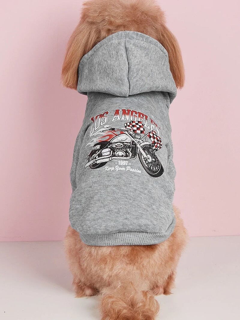 Mājdzīvnieku drēbes, suņi, kaķi, sporta krekli, silti un ērti ar samtu, apdrukātas drēbes, vienkāršas un dāsnas