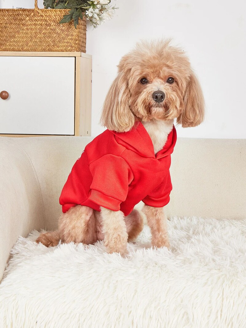 Kisállat ruhák, kutyák, macskák, pulóverek, meleg és kényelmes bársony, nyomott ruhák, egyszerű és nagyvonalú