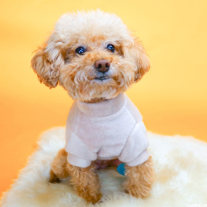 1 buc. Haine pentru animale de companie Pulover pentru pisici Păr Cămașă cu gât rotund Pui galben potrivit pentru câini de talie mică și mijlocie