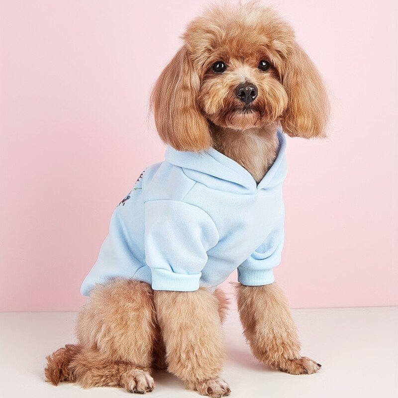 Mājdzīvnieku drēbes, suņi, kaķi, sporta krekli, silti un ērti ar samtu, apdrukātas drēbes, vienkāršas un dāsnas