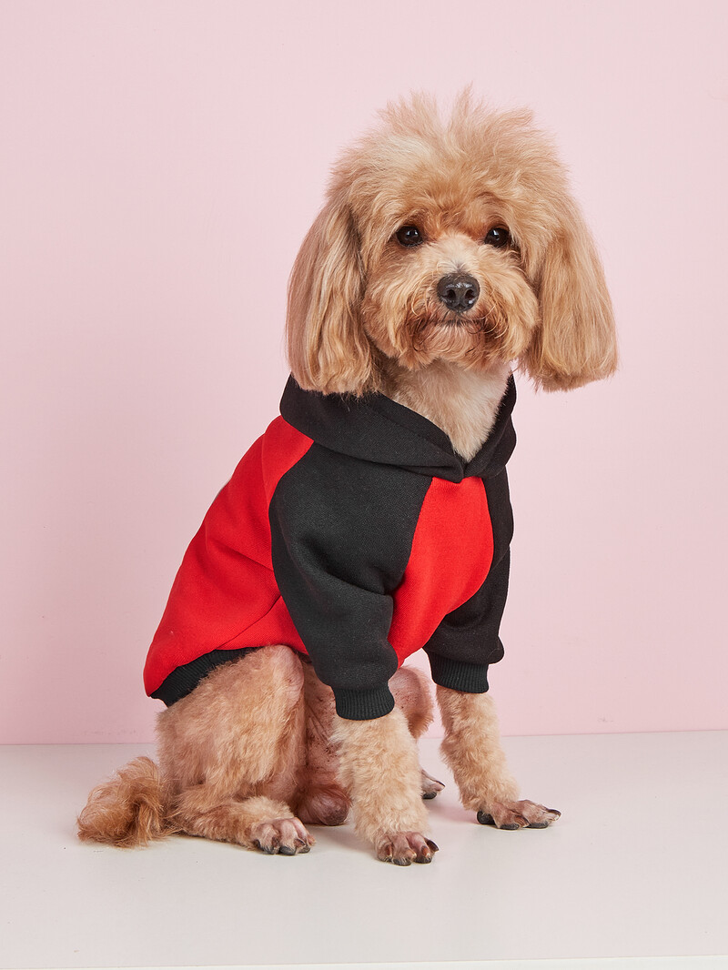 Kisállat ruhák kutya macska pulóver bársony meleg és kényelmes ruhák mintával egyszerű és nagyvonalú, divatos és szuper c