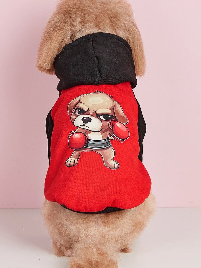 Kisállat ruhák kutya macska pulóver bársony meleg és kényelmes ruhák mintával egyszerű és nagyvonalú, divatos és szuper c