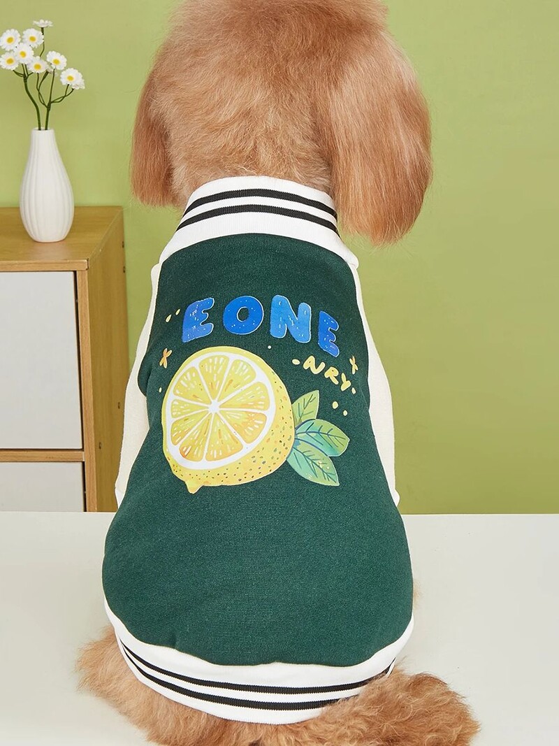Mājas suņa kaķa jaka Siltas un ērtas plīša drēbes ar citrona apdruku Jauns