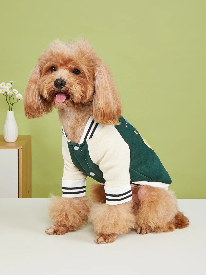 Mājas suņa kaķa jaka Siltas un ērtas plīša drēbes ar citrona apdruku Jauns