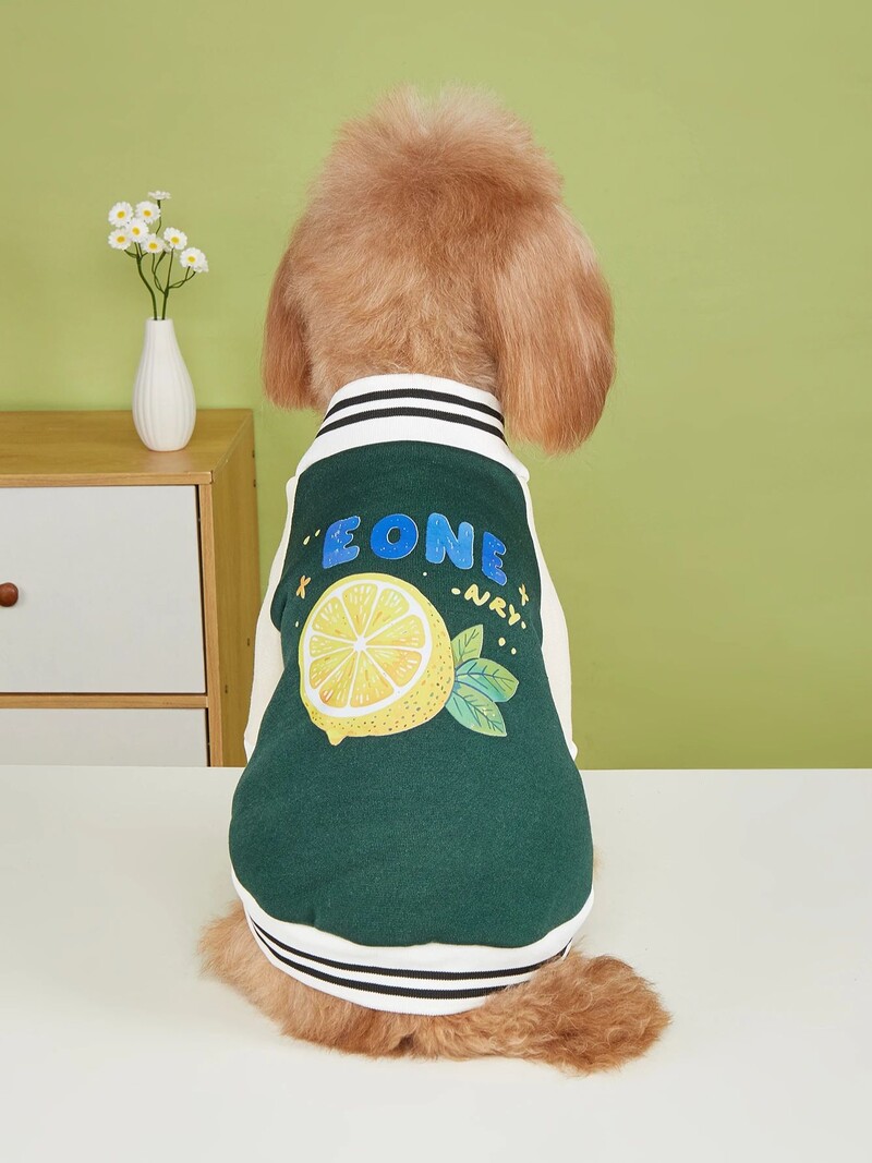 Mājas suņa kaķa jaka Siltas un ērtas plīša drēbes ar citrona apdruku Jauns