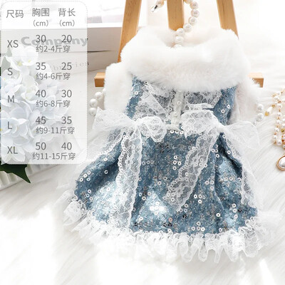 Džinsu kleitas suņiem, Mājdzīvnieku apģērbi ar divām kājām, Apģērbi maziem suņiem, Mājdzīvnieku apģērbi, Zila krāsa, Mežģīņu rotājumi