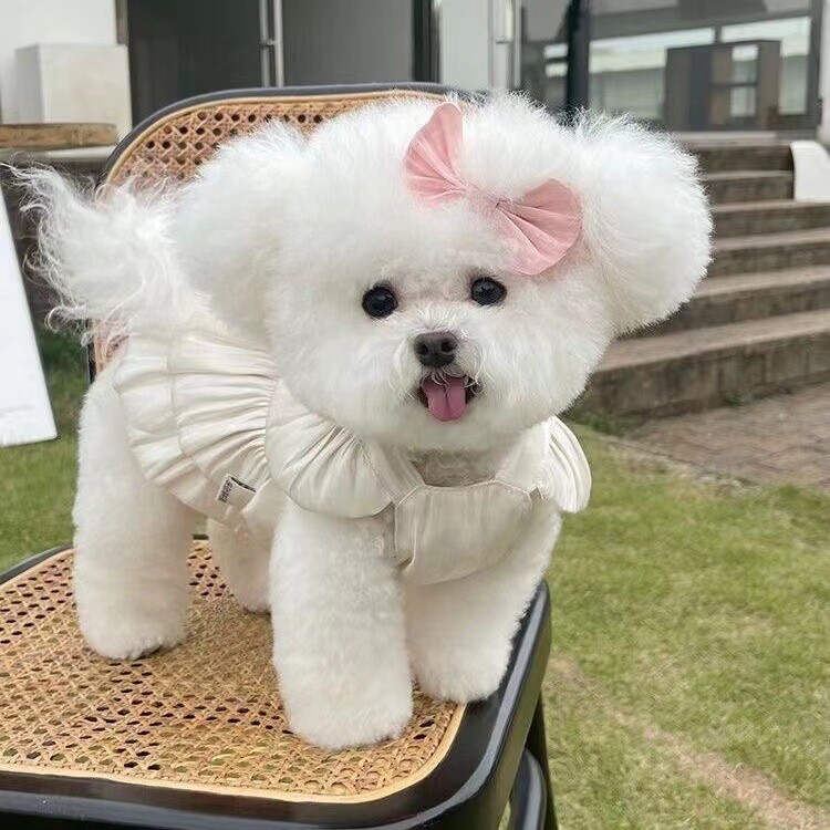 Vasaras rozā baltās krāsas Mascotas apģērbi ar lielu bantīšu rotājumu Pet Plānas elpojošas un ērtas mājdzīvnieku drēbes Suņu kleitas