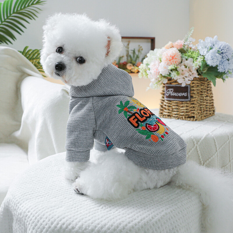 1 vnt naminių gyvūnėlių drabužiai šunims pavasario ir rudens pilkos saldžios oranžinės skrybėlės skrybėlės ir striukės tinka mažiems ir vidutinio dydžio šunims