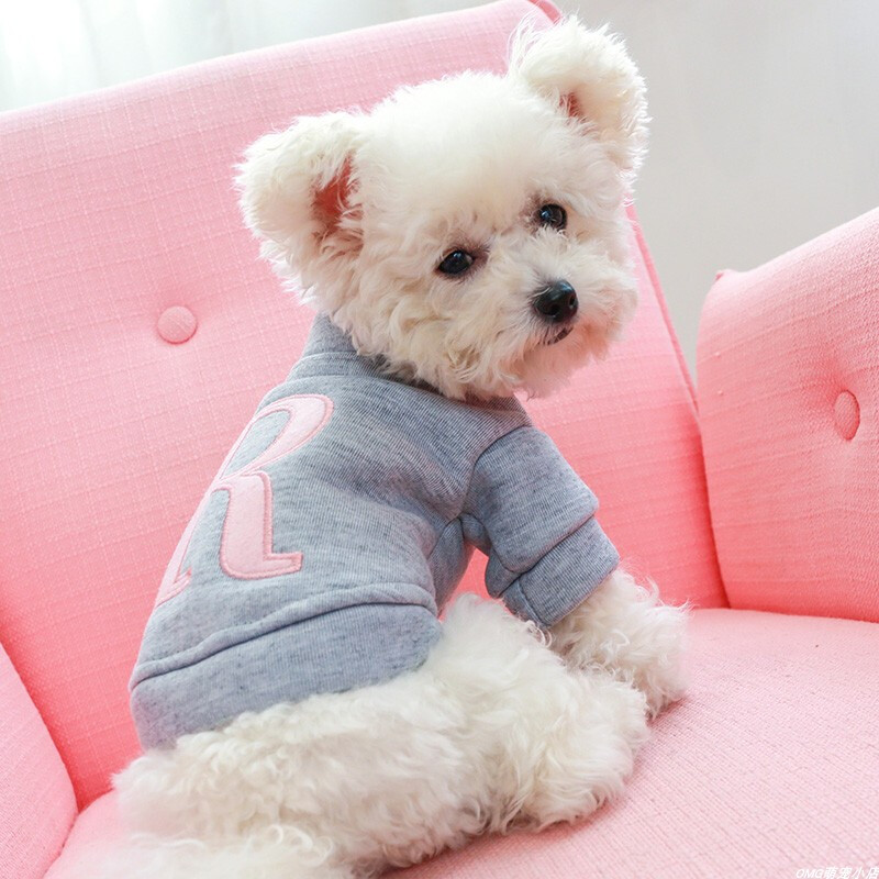 PETCIRCLE Haine pentru câini Litera R Hanorac Hanorac potrivit pentru câini de talie mică, cățeluș, pisică de companie, primăvară/toamnă, costum drăguț pentru animale de companie, haine pentru animale de companie.