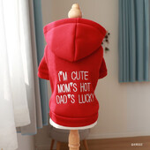 1PC îmbrăcăminte pentru animale de companie pentru câini de primăvară și toamnă, îngroșat, cald și confortabil, brodat cu glugă roșie pentru câini mici și mijlocii