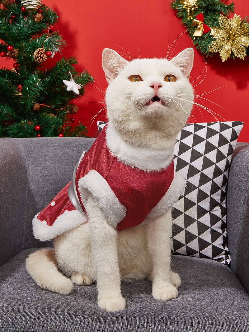 Kalėdinės šunų suknelės mažiems šunims Drabužiai Polka Dots Kostiumų šuniukas su Bowknot Doggie Pliušinis Pet Šilti Drabužiai Minkšti Drabužiai