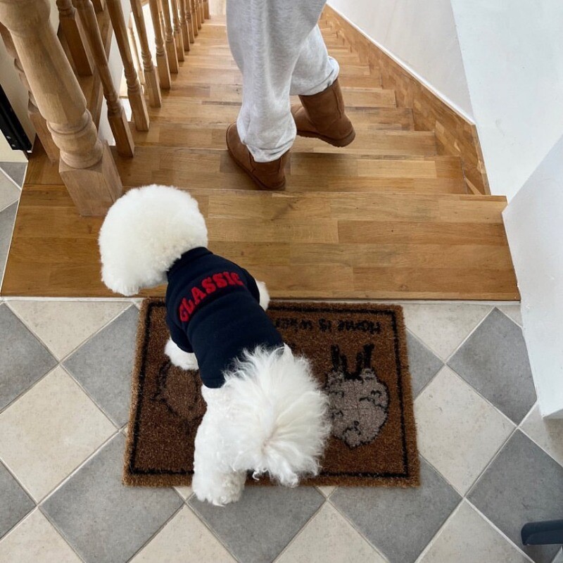 Modes ziemas suņu apģērbi Mājdzīvnieku silts kucēnu mētelis Suņu kapuces ar burtu džemperi Mājdzīvnieku apģērbs Franču buldoga kucēna džemperis