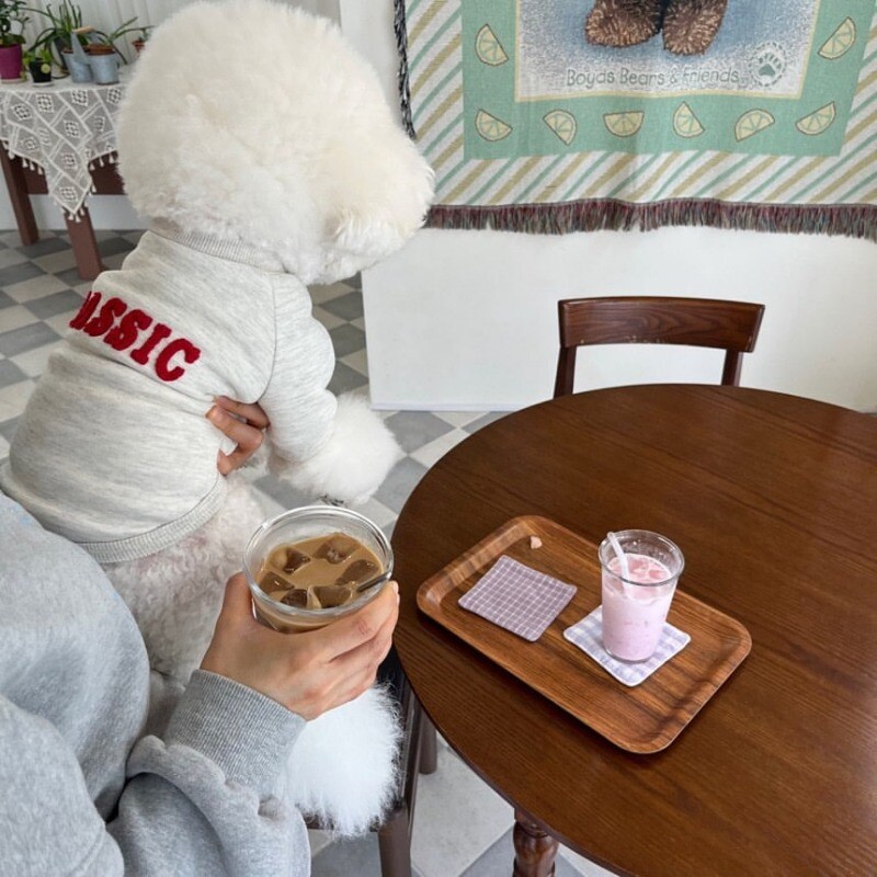 Modes ziemas suņu apģērbi Mājdzīvnieku silts kucēnu mētelis Suņu kapuces ar burtu džemperi Mājdzīvnieku apģērbs Franču buldoga kucēna džemperis