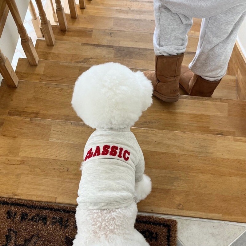 Modes ziemas suņu apģērbi Mājdzīvnieku silts kucēnu mētelis Suņu kapuces ar burtu džemperi Mājdzīvnieku apģērbs Franču buldoga kucēna džemperis