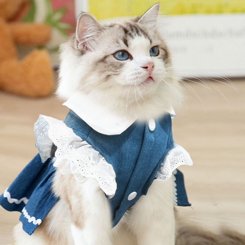 Fusta de blugi pentru câini la modă pentru câini de talie mică Haine pentru câini de vară rochie de prințesă pentru cățeluș rochie de pisică cu imprimeu căpșuni Costume chihuahua