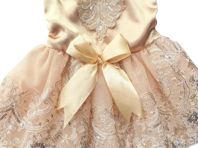 Rochie de câini din dantelă brodata florală pentru câini de talie mică Haine pentru câini cu design de lux Rochie de prințesă cu papillon de vară Îmbrăcăminte pentru animale de companie