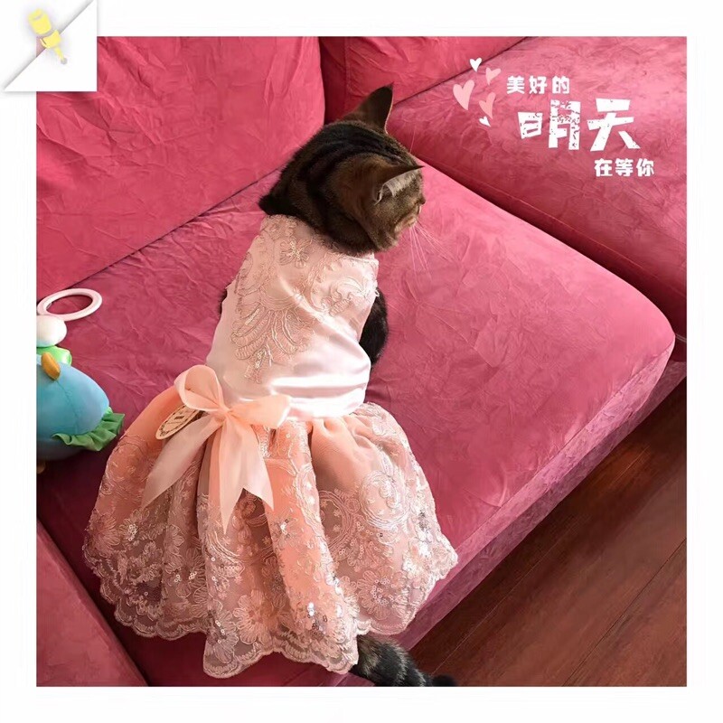 Rochie de câini din dantelă brodata florală pentru câini de talie mică Haine pentru câini cu design de lux Rochie de prințesă cu papillon de vară Îmbrăcăminte pentru animale de companie