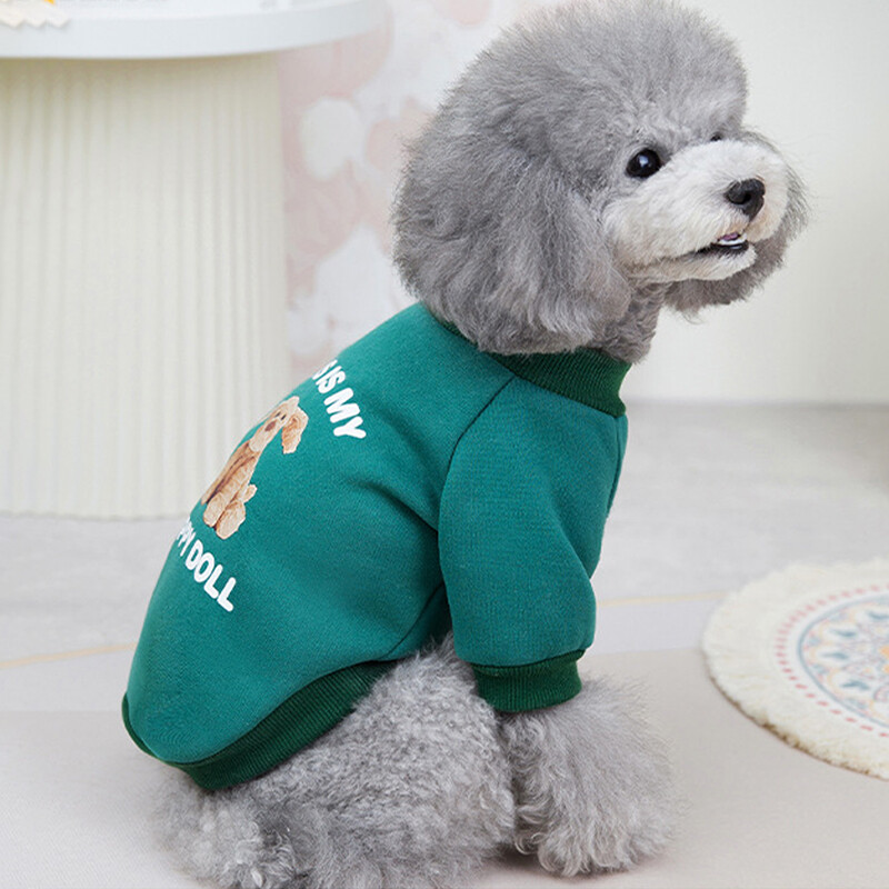 Vilnoniai šunų gobtuvai Naminių šunų drabužiai Stori šunų megztinis mažiems ir vidutiniams šunims Apranga šuniukui Čihuahua Perro megztiniai Drabužiai