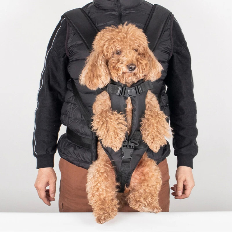 Atsparus vandeniui patvarus naminių šunų krepšys Patogus kvėpuojantis nešiojimas katėms Šunims Kuprinė Kelionės Išvykstami gyvūnai Kačių krepšiai Reikmenys