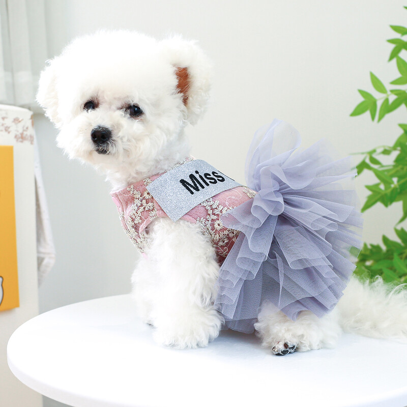 PETCIRCLE šunų drabužiai „Miss Universe“ suknelė mažam ir vidutiniam šuniui šuniukui, visiems sezonams, naminių gyvūnėlių drabužiams, kostiumams, reikmenims augintiniams Sijonas