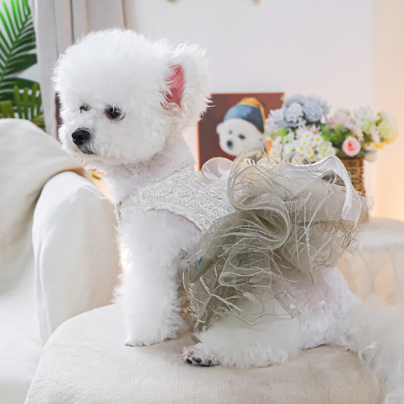 1 vnt. naminių gyvūnėlių drabužiai pavasario ir rudens kamelijos nėrinių sijoninė vestuvinė suknelė Princesė suknelė tinka mažiems ir vidutinio dydžio šunims