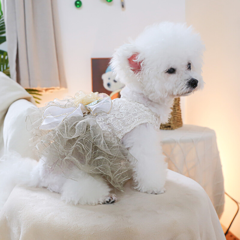 1 vnt. naminių gyvūnėlių drabužiai pavasario ir rudens kamelijos nėrinių sijoninė vestuvinė suknelė Princesė suknelė tinka mažiems ir vidutinio dydžio šunims