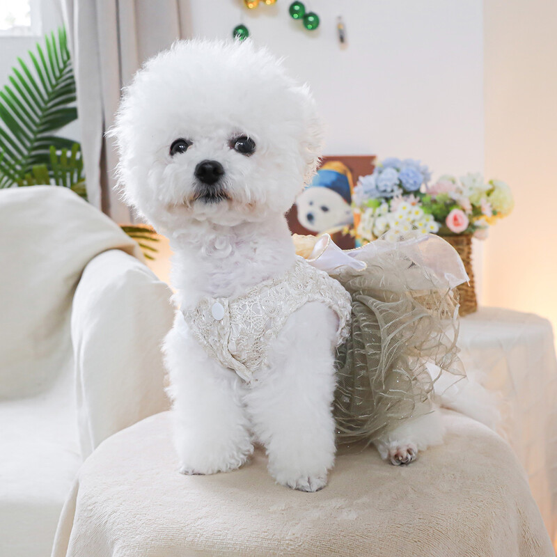 1 vnt. naminių gyvūnėlių drabužiai pavasario ir rudens kamelijos nėrinių sijoninė vestuvinė suknelė Princesė suknelė tinka mažiems ir vidutinio dydžio šunims